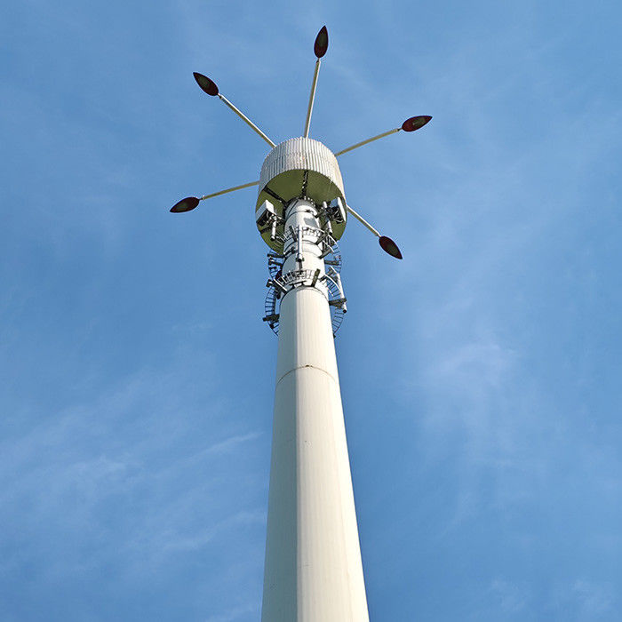 Desenho de altura e vento personalizável para postes de telecomunicações com relatório de análise da estrutura do poste de aço